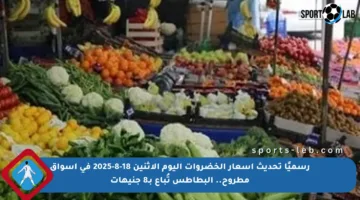رسميًا تحديث أسعار الخضروات اليوم الاثنين 18-8-2025 في أسواق مطروح.. البطاطس تُباع بـ8 جنيهات